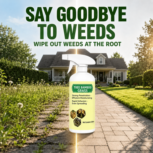 🔥Hot Sale 50% OFF 🎁 - Fast-Acting Natural Weed & Grass Killer Spray