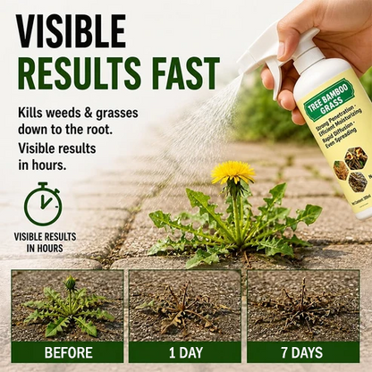 🔥Hot Sale 50% OFF 🎁 - Fast-Acting Natural Weed & Grass Killer Spray