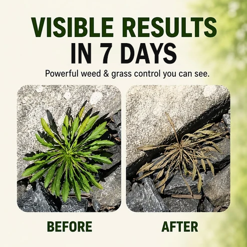 🔥Hot Sale 50% OFF 🎁 - Fast-Acting Natural Weed & Grass Killer Spray