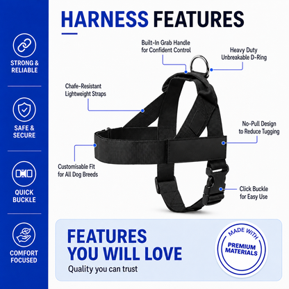 No-Pull Dog Harness & Leash Set – Breathable Adjustable Harness with 120 cm Leash