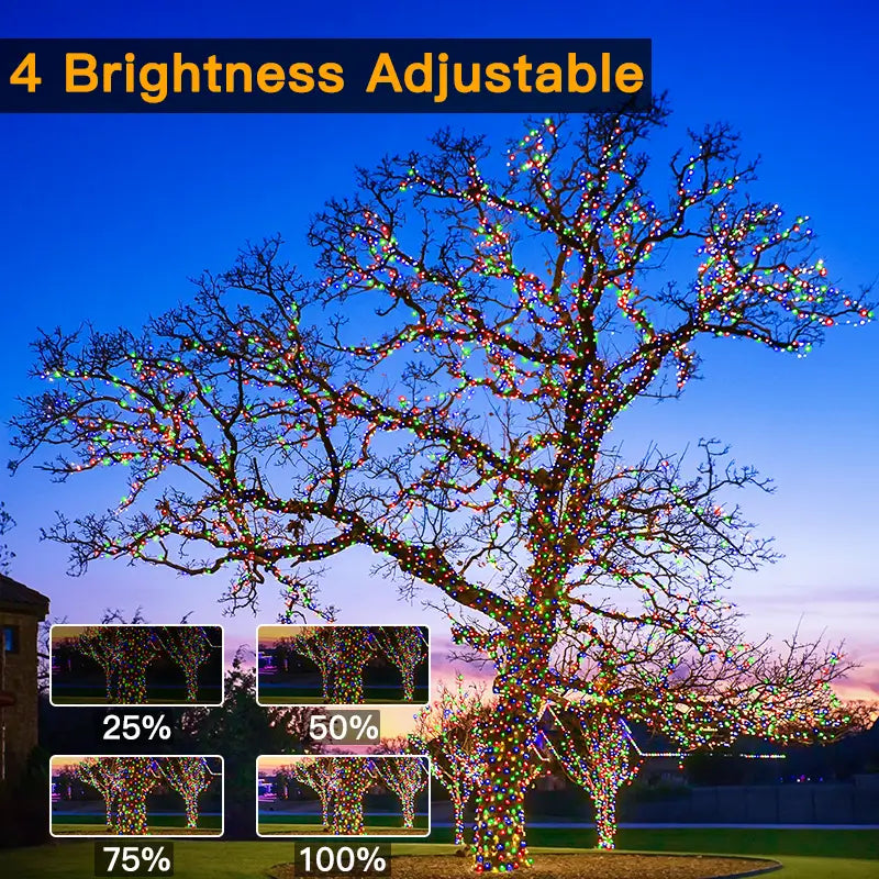 Low voltage LED Christmas lights product features