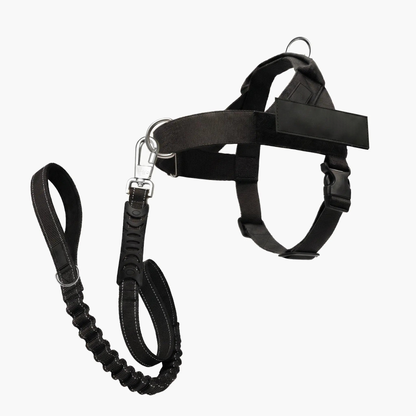 No-Pull Dog Harness & Leash Set – Breathable Adjustable Harness with 120 cm Leash