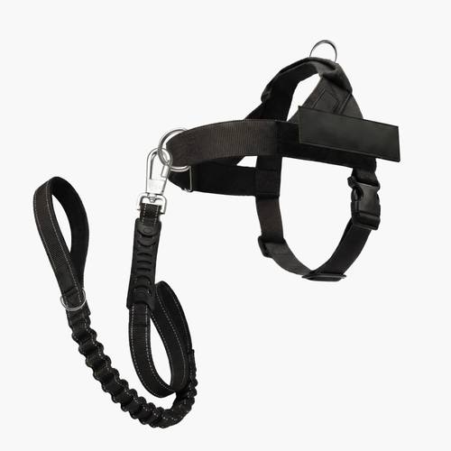 No-Pull Dog Harness & Leash Set – Breathable Adjustable Harness with 120 cm Leash