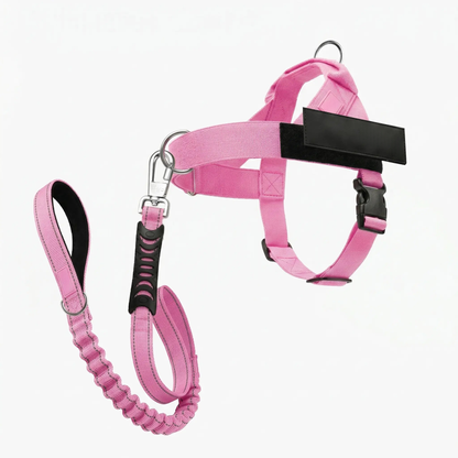 No-Pull Dog Harness & Leash Set – Breathable Adjustable Harness with 120 cm Leash