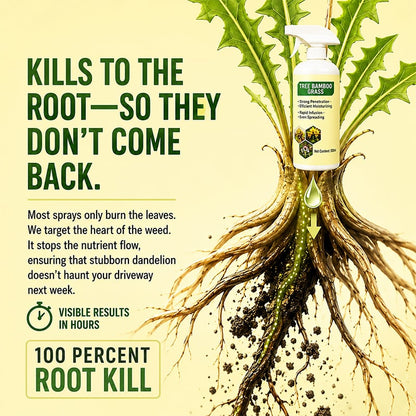 🔥Hot Sale 50% OFF 🎁 - Fast-Acting Natural Weed & Grass Killer Spray