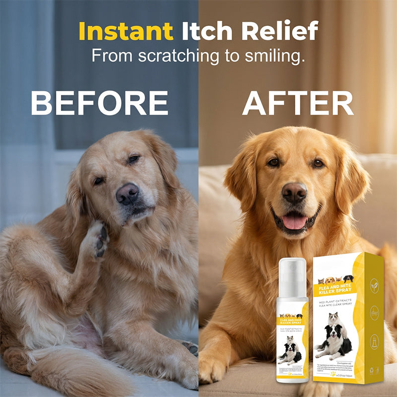 🔥50% off on the last day!🐶🐱Mild Formula insect repellent spray for pets