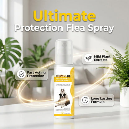 🔥50% off on the last day!🐶🐱Mild Formula insect repellent spray for pets