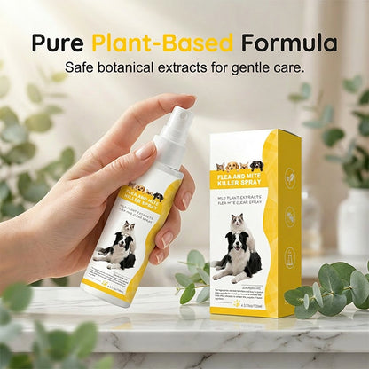 🔥50% off on the last day!🐶🐱Mild Formula insect repellent spray for pets