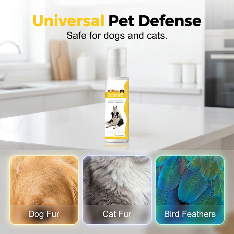 🔥50% off on the last day!🐶🐱Mild Formula insect repellent spray for pets